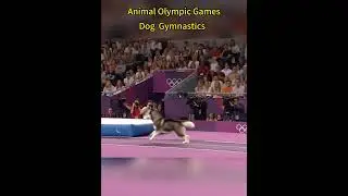 Animal Olympic Games: Dog Gymnastics pt2