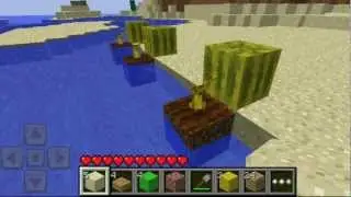 Minecraft Pocket Edition News: Watermelons