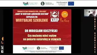 Wirtualne Szkolenie nr 16 - 