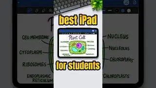 The Best iPad for Students in 2025? 🤔📝