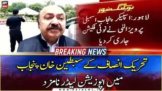 PTI's Sibtain Khan nominated as Opposition Leader in Punjab