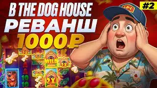 THE DOG HOUSE с 1000₽: РЕВАНШ ДЯДИ СПИНА 🔥 ЗАНОС ИЛИ СЛИВ?