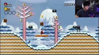 NOT THE SNOW..... SUPER MARIO BROS Wii (WORLD 3) GAMEPLAY