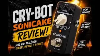 Review #5 | Envelope Filter Sonicake | Cry Bot