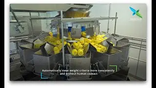 Vibratory Conveyor / Distribution System with Gates and Multihead Weigher Integration
