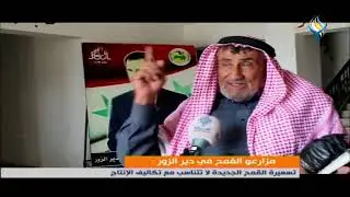 مزارعو القمح في دير الزور : تسعيرة القمح الجديدة لا تتناسب مع تكاليف الإنتاج