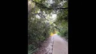 #miami #nature