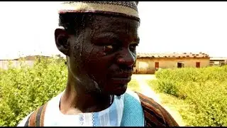 Yadda Ya Kashe Dansa Sabuda Mota by mazajene (Hausa Songs / Hausa Films)