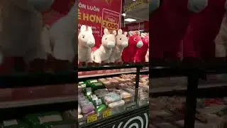 Tết đến đầu ngõ rồi !