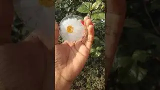 1st art video 🎨 glass penting  #art #short #youtubeshorts