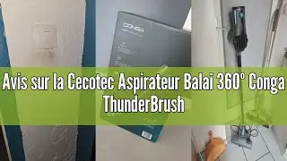 Avis sur la Cecotec Aspirateur Balai 360&ordm; Conga ThunderBrush 560. 600W, 2 en 1: Combin&eacute; Aspirateur a
