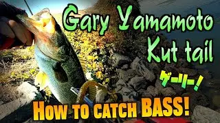 Gary Yamamoto Kut Tail, Weightless wacky rig! Bank bass fishing in California.