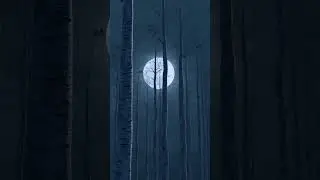 beauty of nature | beauty of moon #moon #beauty #beautyofnature  #oldtrend #shorts #relaxingmusic