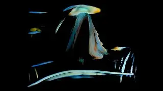 Sub Focus - Fine Day (Visualiser)