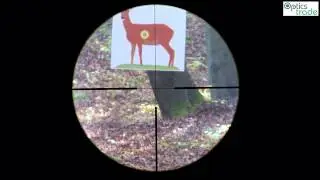 Zeiss Victory V8 2 8 20x56 Reticle