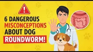 6 Dangerous Myths About Dog Worms You Must Stop Believing!