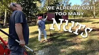 We've Got Enough Nuts || Fall Farm Chores & Taking Care of the Wildlife