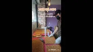 오란다맨 라이브 방송
