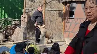 Nandi a 3yo F Aardvark!!🥰 12/27/25