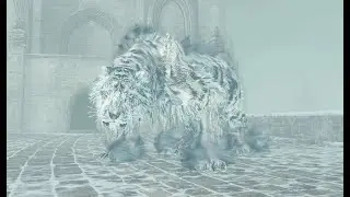 KAR FIRTINASI DURDU! SONUNDA &Ouml;N&Uuml;M&Uuml; G&Ouml;R&Uuml;YORUM! AAVA THE KING'S PET DEFEATED! DARK SOULS II SOTFS #47