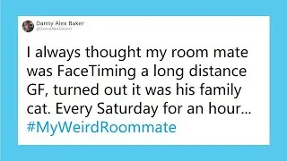 Weirdest Roommates That Are Impossible Not To Laugh At&hellip; Or Live With