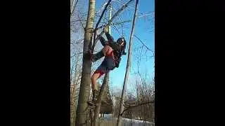 Sam falling from a tree