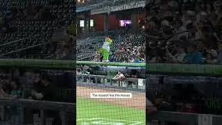 What a fun job Knights #charlotte #knights #charlottenc #charlotteknights #northcarolina #city #game