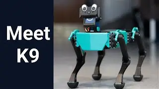 K9: Quadruped Robot Pet   |  Voice Assistant  |  Low Cost