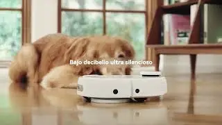 CL: Jolypops XM32 Colector de polvo inteligente rob&oacute;tico