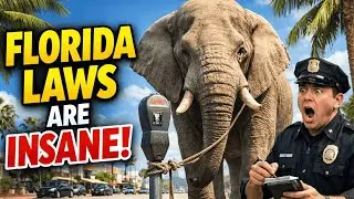 15 Weird Florida Laws That Sound Fake But Are Still Legal