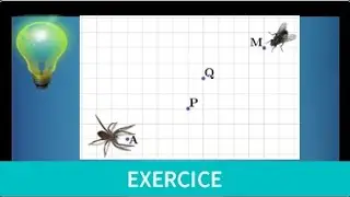 Dénombrement • combinaison • compter les chemins sur un quadrillage • exercice classique • Terminale