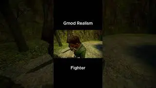 Gmod Realism - Fighter #gmod #gmodrealism