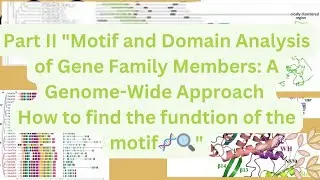 Part II Motif and Domain Analysis of Gene Family Members: How to Find the Function of the Motif