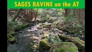 Sages Ravine 1