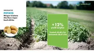 Development of an enhanced water retainer product in the WATERAGRI Project &ndash;Bay Zolt&aacute;n Nonprofit Ltd