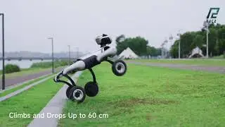 Introducing MagicDog W &ndash; The Wheeled Wonder by R2C2 X MagicLab