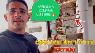🔥 DICAS PRA COMPRAR UM SIBITE EXTRA BARATO ! ( sibites e cia dicas)🏆