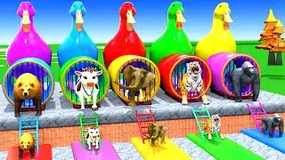 Long Slide Game with Cow Elephant Gorilla Hippopotamus Tiger 3d Animal Game Funny 3d Animals