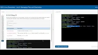Intro to Linux || Cisco Lab8 || Managing Files and Directories