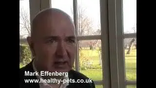 The UK pet insurance market explained.