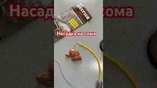 Насадка для рыбалки на сома / ловля сома на снасть с подводным поплавком