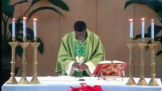 La Sainte Messe du jour | 3ème Dimanche du Temps Ordinaire | 25-01-2026 |  P. Sylvestre Beladjolo FM