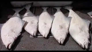 West Coast Fishing - Prince Rupert BC