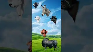 #shorts #youtubeshorts #funny #viral #cartoon #cow #animals #animation #lion #funnyvideo #trending