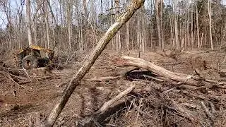 gum tree to big to cut with the bell cutter