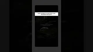 The Wolf Mentality: Never Give Up on Your Hunt!