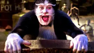 Du wirst Kätzchen James Corden nicht mehr ungesehen machen können! | Cats | German Deutsch Clip