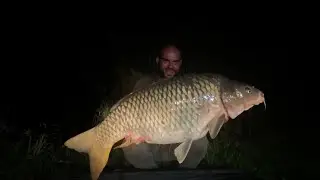 Sumbar lake - The Steer