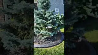 Affordable Living & Stunning Curb Appeal in Whitestown, Indiana