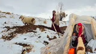 A nomadic mother's tent of hope: The story of the hard life of Shiva and her orphan child
